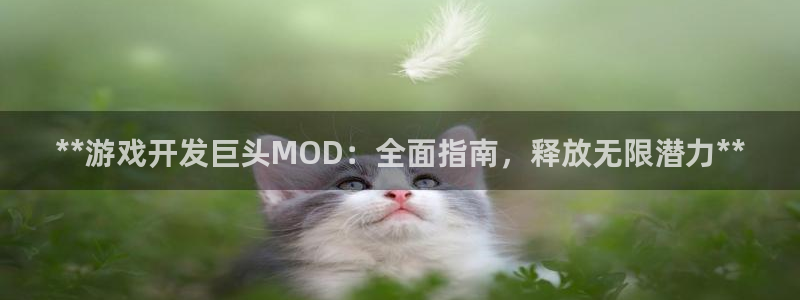 沐鸣2平台代理