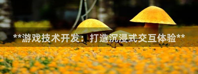 沐鸣娱乐2测速