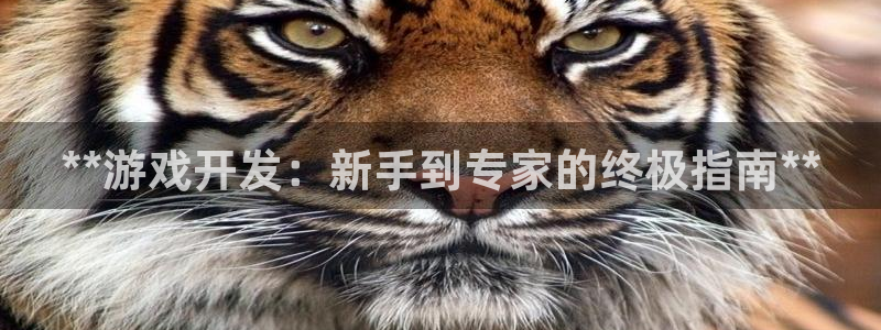 沐鸣娱乐平台2注册
