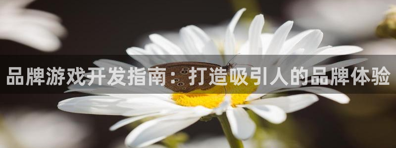 沐鸣2娱乐登录测速