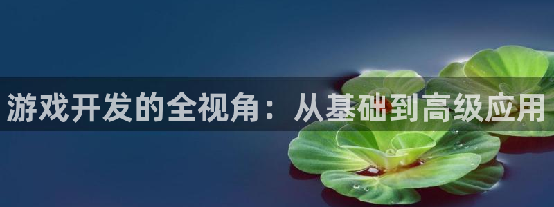 沐鸣娱乐2客服：游戏开发的全视角：从基础到高级应用
