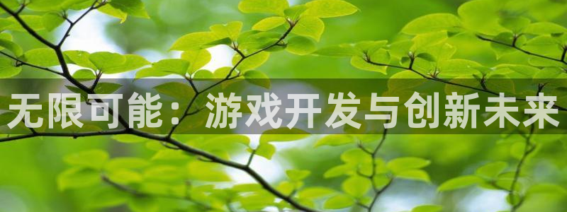 沐鸣2注册流程：无限可能：游戏开发与创新未来