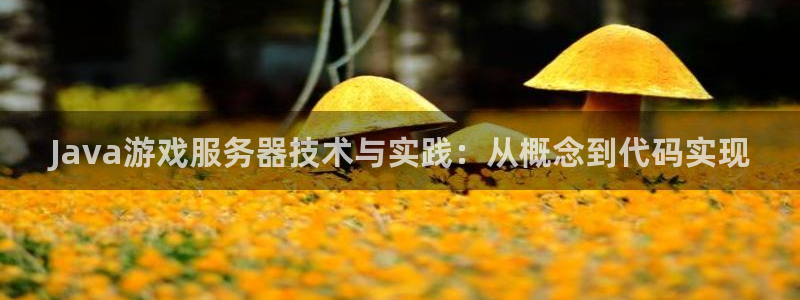 沐鸣娱乐2登录平台：Java游戏服务器技术与实践：从概念到代码实现