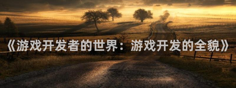 沐鸣娱乐2官方平台投诉：《游戏开发者的世界：游戏开发的全貌》
