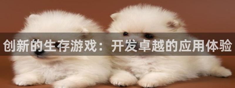 沐鸣娱乐2登录地址：创新的生存游戏：开发卓越的应用体验