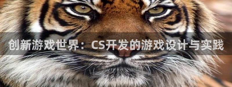 沐鸣2平台注册：创新游戏世界：CS开发的游戏设计与实践