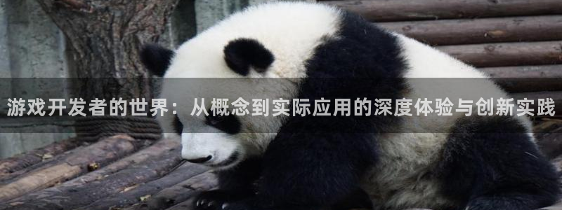 沐鸣2账号注册：游戏开发者的世界：从概念到实际应用的深度体验与创新实践