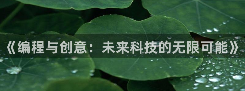 沐鸣娱乐2官方网站注册链接：《编程与创意：未来科技的无限可能》