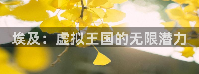 沐鸣娱乐2在线注册：埃及：虚拟王国的无限潜力