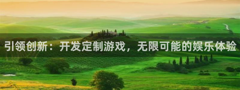 沐鸣2测速：引领创新：开发定制游戏，无限可能的娱乐体验