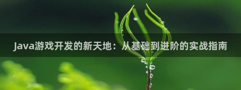沐鸣2客服：Java游戏开发的新天地：从基础到进阶的实战指南
