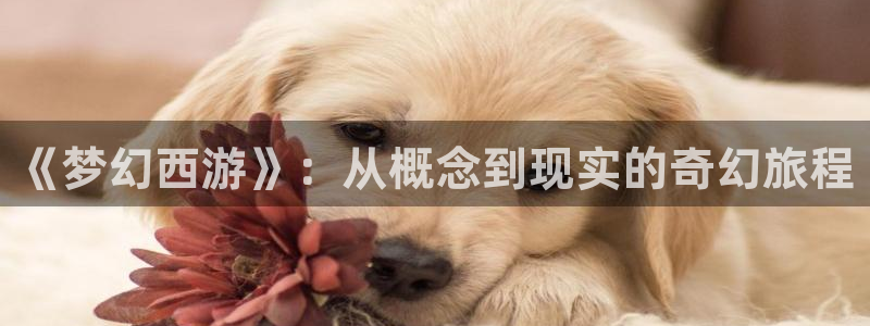 沐鸣2多少年