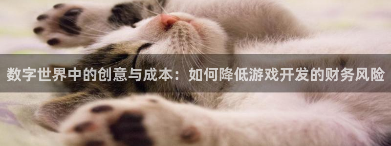 沐鸣2平台招商：数字世界中的创意与成本：如何降低游戏开发的财务风险