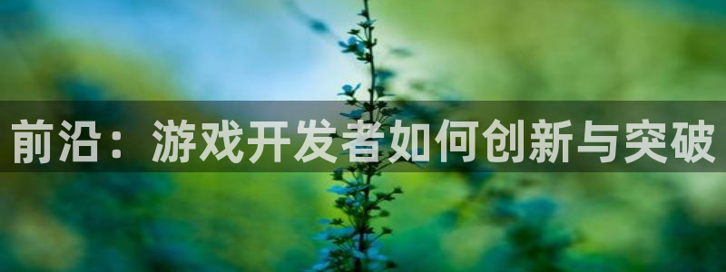 沐鸣娱乐2注册账号：前沿：游戏开发者如何创新与突破