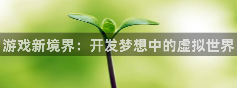 沐鸣2官方注册：游戏新境界：开发梦想中的虚拟世界