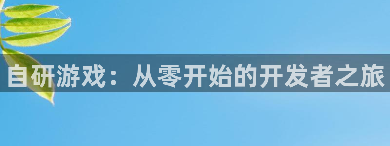 沐鸣2平台主管代理：自研游戏：从零开始的开发者之旅